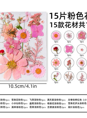 新品押花滴胶手工材料植物标本