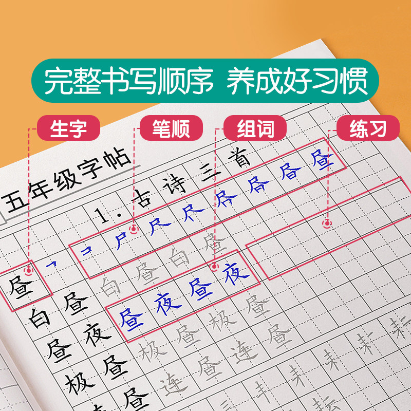 五年级练字帖上册下册生字组词字帖小学生专用语文同步人教版写字本练字本每日一练硬笔书法楷书字贴钢笔练习,淘宝优惠券,粉丝福利购,淘宝优惠卷