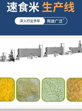 营养米膨化机 100公斤速食米膨化机 免蒸米饭膨化机 全自动膨化机