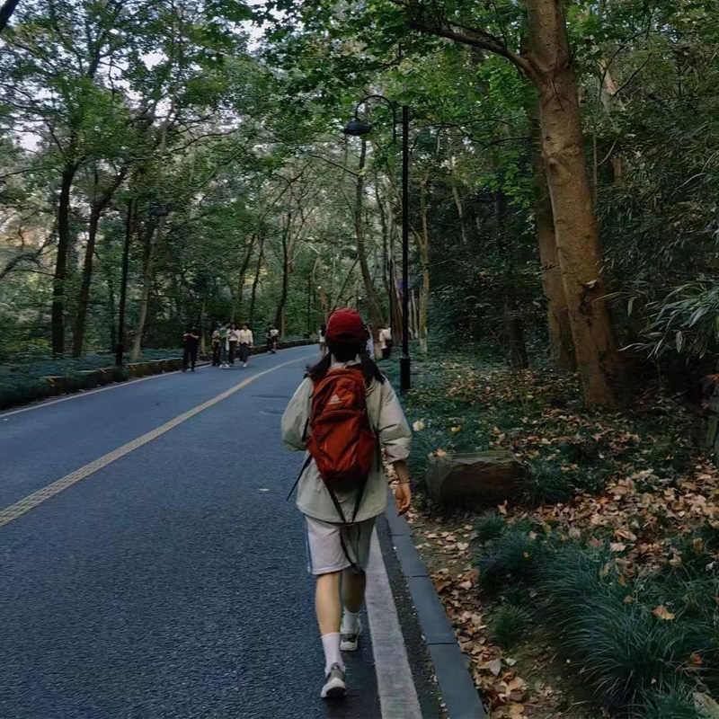 浙江莫干山徒步一日跟团游上海杭州往返 行走森林氧吧 浙江小庐山 - 图0