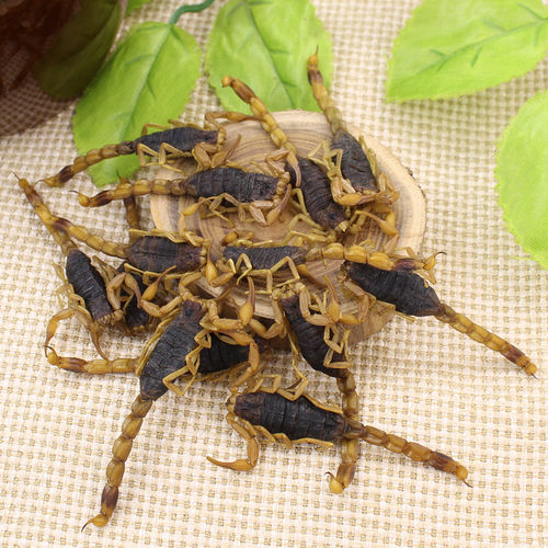蝎子干清水全虫全蝎蝎子活体中药材药用食用泡酒10克包邮冷冻保存 - 图1