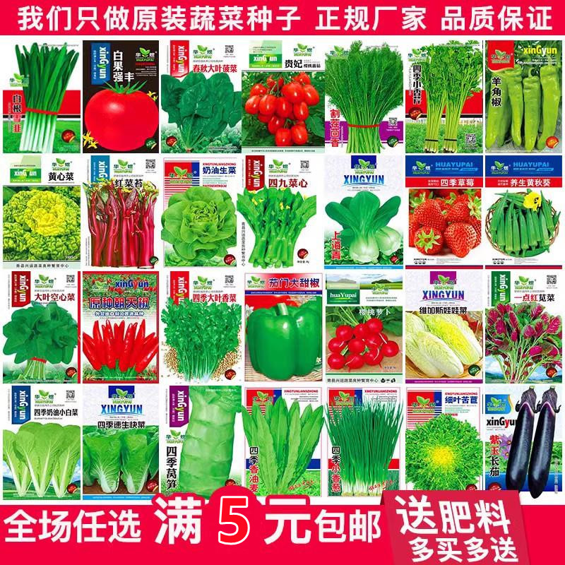 蔬菜种子四季播盆栽阳台庭院香菜生菜菠菜小葱黄瓜秋易种籽孑大全 - 图0