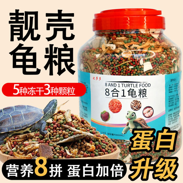 ອາຫານເຕົ່າ, ອາຫານພິເສດສໍາລັບເຕົ່າ, ເຕົ່ານ້ອຍ, ເຕົ່າໃຫຍ່, ເຕົ່າຫຍ້າ, ເຕົ່າບຣາຊິນ, ຊີ້ນແຊ່ແຂງທີ່ມີທາດບໍາລຸງ, ປາແຫ້ງແລະກຸ້ງ, ອາຫານເຕົ່າທົ່ວໄປ