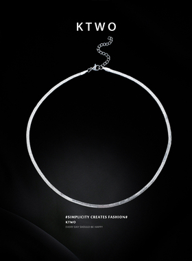 简约蛇骨项链女时尚男短款锁骨链