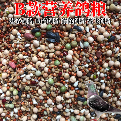 营养鸽子粮无玉米鸟食信鸽观赏鸽幼鸽赛飞专用饲料红土保健砂 - 图1