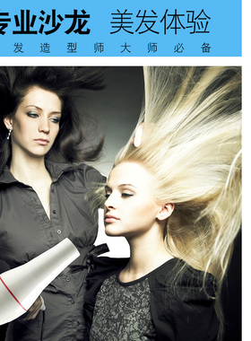 发帝9810黑白电吹风机发廊专用