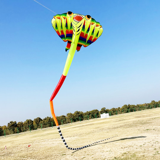 Weifang Kite Большой трехмерный лучевой змей Высококлассный кайт с мягким скелетоном Легко летать для начинающих