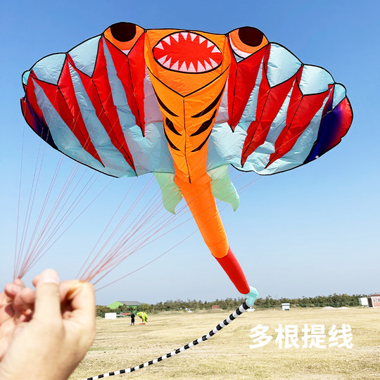 Weifang Kite Большой трехмерный лучевой змей Высококлассный кайт с мягким скелетоном Легко летать для начинающих