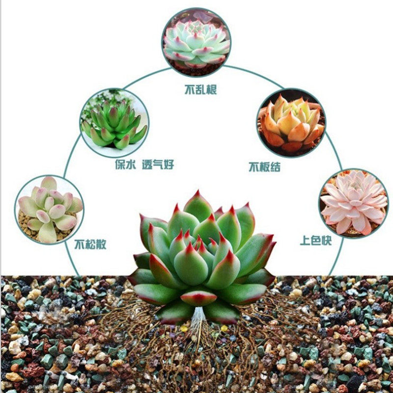 多肉植物专用颗粒土铺面石河沙虹彩石兰花土特价清仓多肉土营养土 小轩园艺 淘优券