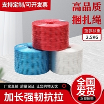 Factory Plastic Rope Colored Strapping Rope Tear with high quality straw bale straw Straw Cake Nylon Rope