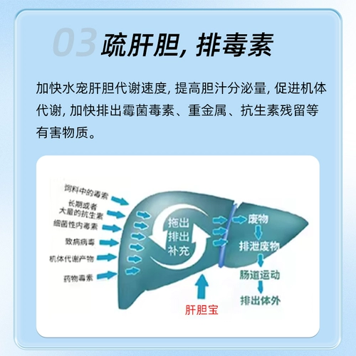 Специально для печени и желчного пузыря для аквариумных декоративных рыб, защищает печень и желчный пузырь, способствует абсорбции, снимает стресс, защищает печень и желчный пузырь, разведение кишечных рыб в аквариуме