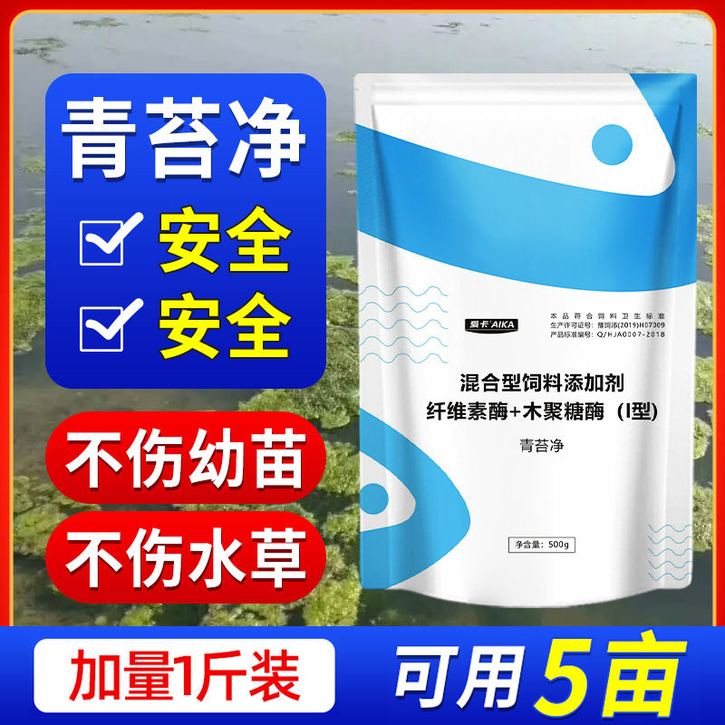 青苔分解酶水产养殖除藻剂虾塘生物青苔净不伤水草鱼虾蟹塘青苔净-图0