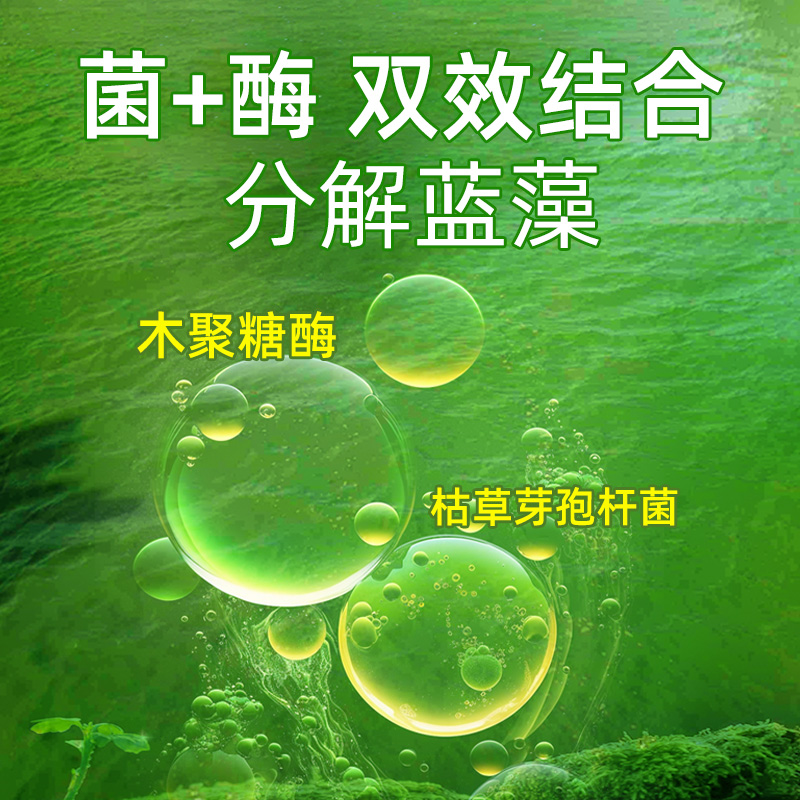 蓝藻净蓝藻分解酶分解素鱼虾蟹塘生物除藻剂蓝藻克星药除绿水净水 - 图0