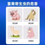 Национальная стандартная ветеринарная медицина для ветеринарного использования Абендазол Таблетки Свинья, крупный рогатый скот, овца, курица, утка, гусь, медицина дегермии, флуки, аскари, линейный ленточный червем