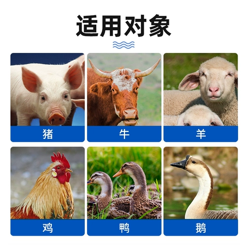 Национальная стандартная ветеринарная медицина для ветеринарного использования Абендазол Таблетки Свинья, крупный рогатый скот, овца, курица, утка, гусь, медицина дегермии, флуки, аскари, линейный ленточный червем