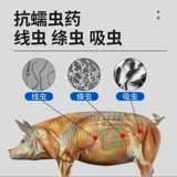 Национальная стандартная ветеринарная медицина для ветеринарного использования Абендазол Таблетки Свинья, крупный рогатый скот, овца, курица, утка, гусь, медицина дегермии, флуки, аскари, линейный ленточный червем
