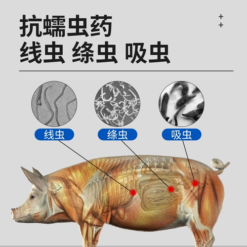 Национальная стандартная ветеринарная медицина для ветеринарного использования Абендазол Таблетки Свинья, крупный рогатый скот, овца, курица, утка, гусь, медицина дегермии, флуки, аскари, линейный ленточный червем