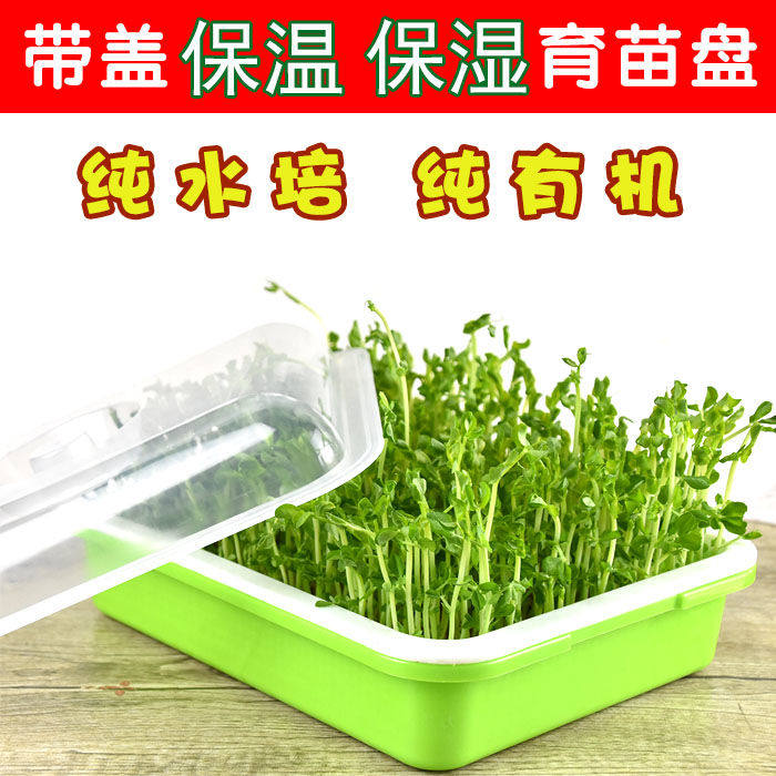 麦草种植 新人首单立减十元 21年7月 淘宝海外