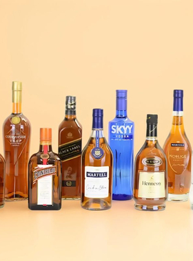 高档仿真酒柜摆件现代家居装饰品客厅玄关装饰装饰洋酒道具酒套装