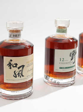 威士忌模型酒橱柜道具板间装饰