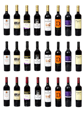 红酒摆件酒店酒柜客展厅仿真软装饰品高档假红酒瓶道具样板间设计