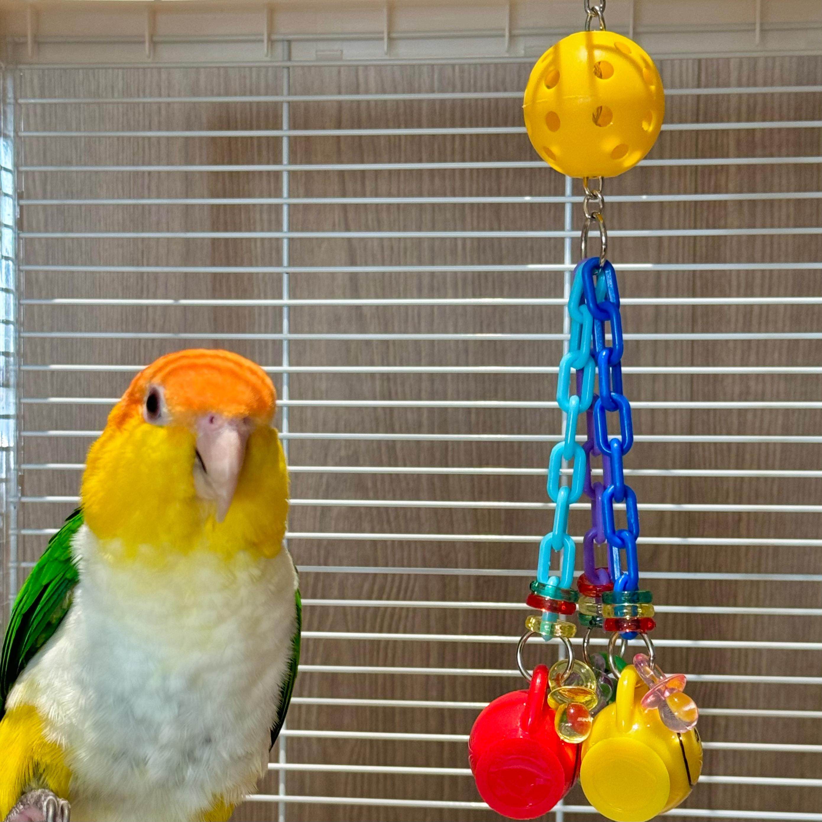 鹦鹉玩具解闷自嗨小鸟啃咬大全玄凤小太阳牡丹觅食丰容互动套装,淘宝优惠券,粉丝福利购,淘宝优惠卷