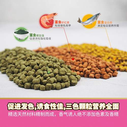寸金龟粮深水龟专用下沉饲料剃刀麝香猪鼻黄头侧颈窄桥蛋龟发色粮 - 图2