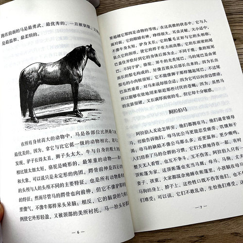 松鼠 布封著 刘阳译小学语文教科书同步阅读书系五年级版小学生课外读物课本教材全方位提升阅读写作能力长江文艺出版社tb - 图3