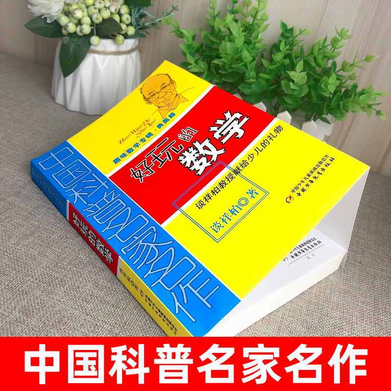 好玩的数学中国科普名家名作趣味数学专辑好玩的数学典藏版算得快谈祥柏著三四五六年级课外教辅故事书少儿趣味益智数学思维训练-图0