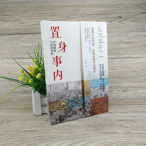 【豆瓣年度】置身事内:中国政府与经济发展 兰小欢著正版包邮 管理书籍 金融投资  中国发展现实的把握 经济学理论 上海人民出版社 - 图0