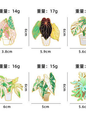 热带绿植叶子金属冰箱贴仿真花朵万年青盆栽磁贴冰箱贴旅游小礼物