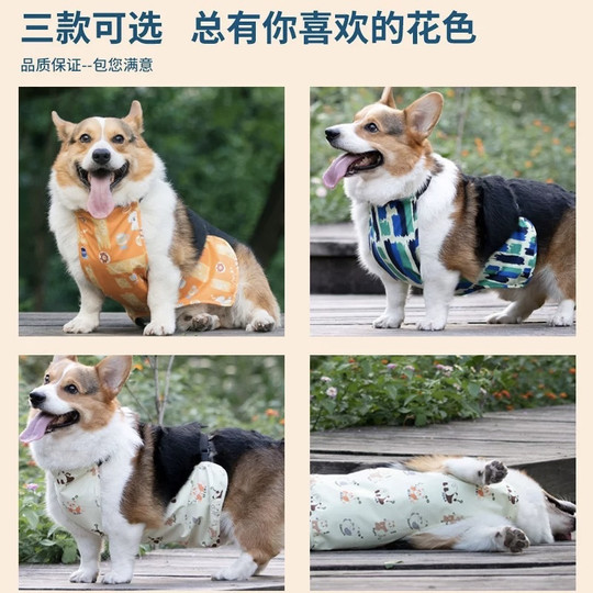 Littletail dog waterproof belly band protects tummy