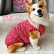 Corgi menstrual pants, a good helper for dogs during pregnancy