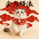Pets New Year of the Horse New Scarf Festive Scarf for Dogs and Cats Festive Red Saliva New Year Photo Decoration