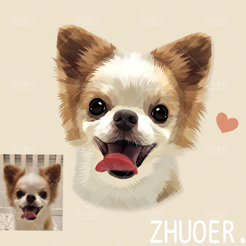 【色块宠物手绘】约稿头像定制画像漫画q版狗狗猫咪动漫卡通设计 - 图0