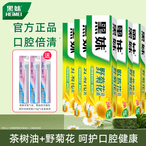 210g野菊花牙膏官方正品不含氟家庭装家用清新口气成人大容量牙膏 - 图2