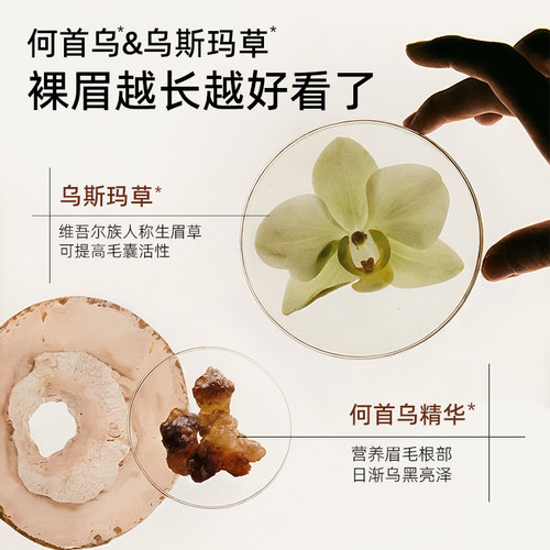 2支|健美创研何首乌眉笔持久防水不脱色根根分明野生眉新手初学者 - 图1