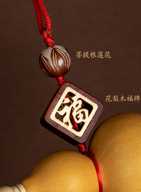 新房入住精品天然葫芦挂件红色双流苏玄关大门口对门卧室内挂饰品