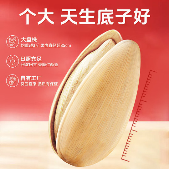 老街口轻盐打手瓜子500g五香陈皮多味脱皮葵花籽网红休闲零食炒货