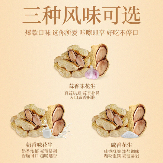 Laojiekou Garlic Peanut Boiled Nuts Roasted Seeds Snacks