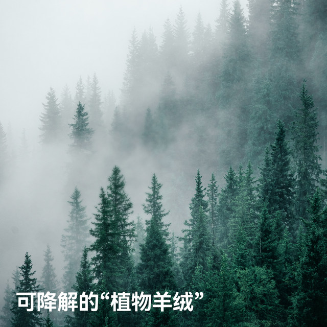 ຕຽງນອນຂະໜາດໃຫຍ່ຂອງເບຕິສມີແຜ່ນໜາທີ່ເປື້ອນ ແລະ ຜ້າອ້ອມ