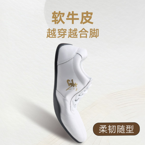 Tai Chi shoes for women, men's, genuine leather, soft cowhide, tendon bottom