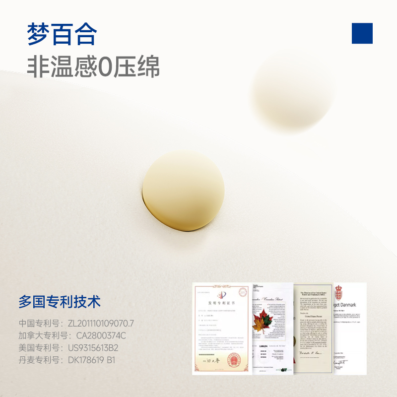 梦百合零压记忆棉慢回弹银离子防螨0压床垫加厚榻榻米舒逸薄垫 - 图2