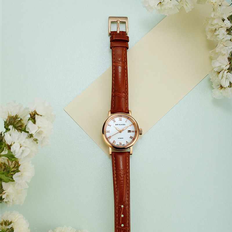 宝茄达正品小女士简约气质时尚女表 brigada国产腕表