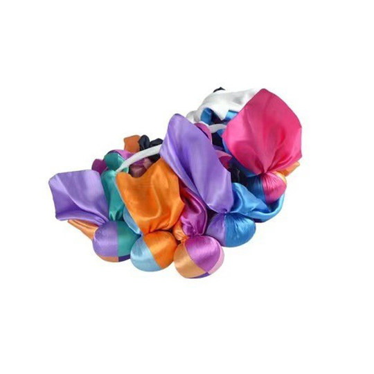 High School Entrance Examination Hydrangea for Ethnic Students