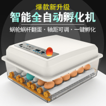 The machine for hatching the chicken is reported to the small chicken the machine used for the small chicken the domestic eggplant warming floating hatching egg machine