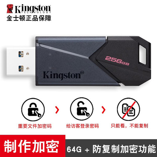 Genuine Kingston large capacity 256g computer USB flash drive