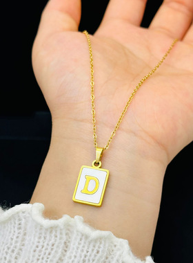 2022年新款感钛钢方牌D字母FASHION时尚流行轻奢蛇骨项链
