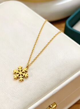 磨砂雪花项链女18K金网红高级设计感颈链新款简约轻奢小众锁骨链