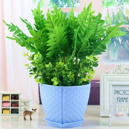 仿真植物仿真绿植套装摆件假草万年青盆栽装饰花艺塑料假花仿真草 - 图1